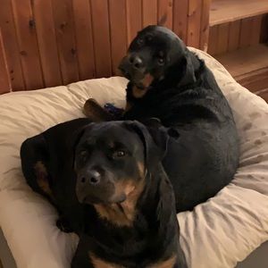 Meet your Posher, Gregg